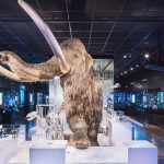 Things to Do in Plymouth