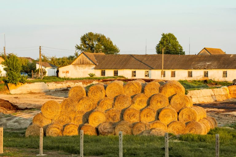 Annstead Farm Beadnell