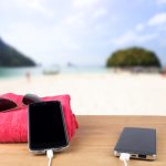 Leisure Battery and Charger