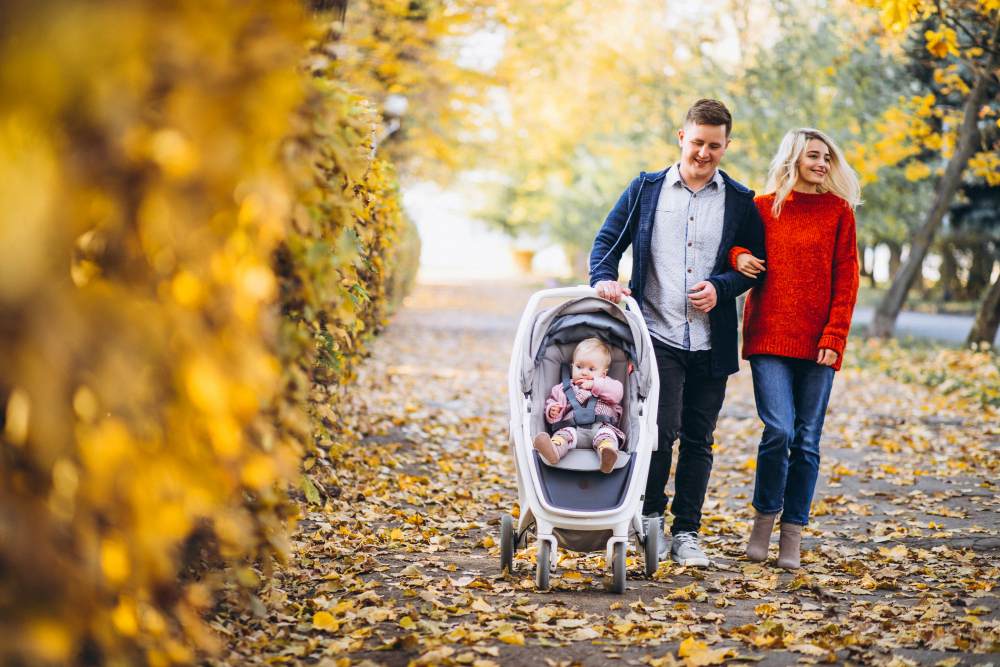 Mountain Buggy Travel Pram