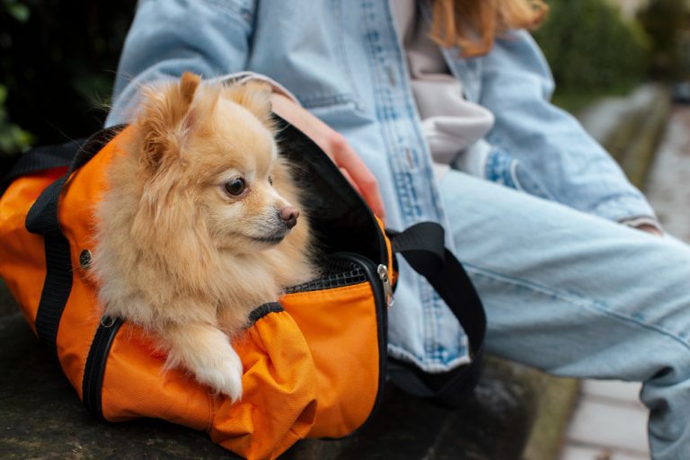 Puppy Travel Bed