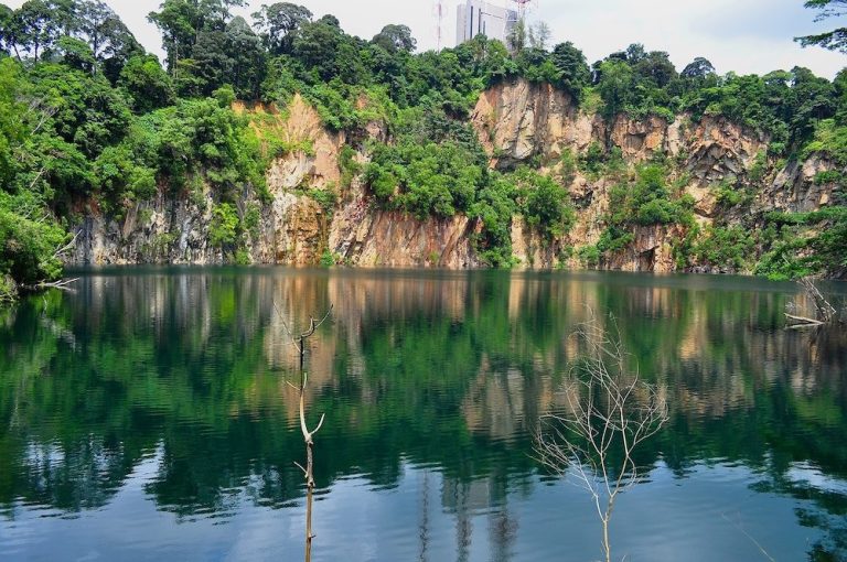 Best Hiking Trails in Singapore