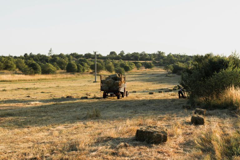 Botswana Safari