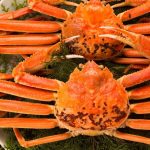 Japanese Snow Crab