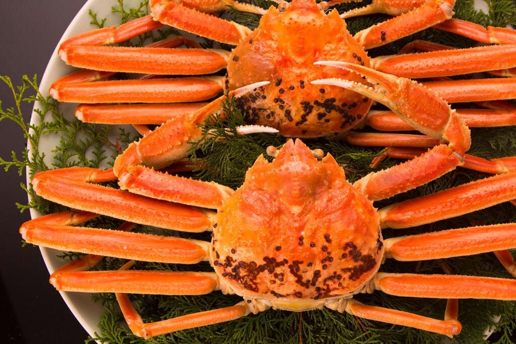 Japanese Snow Crab