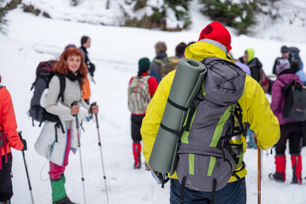 Wengen Suica