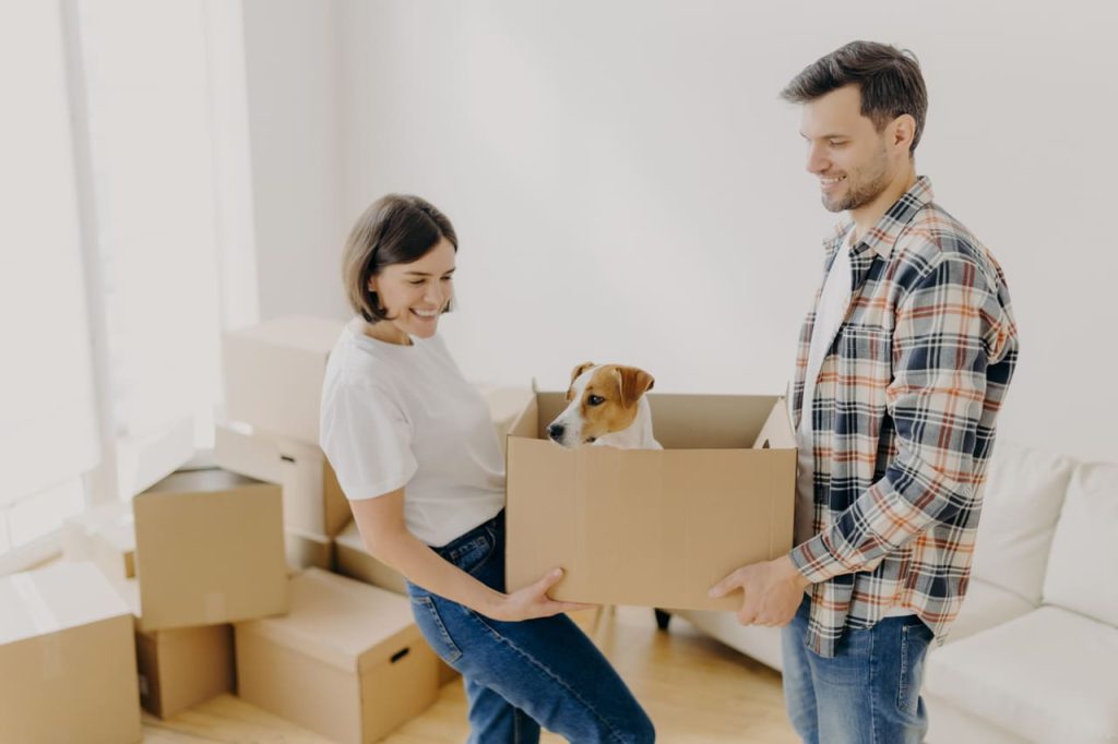 moving with pets