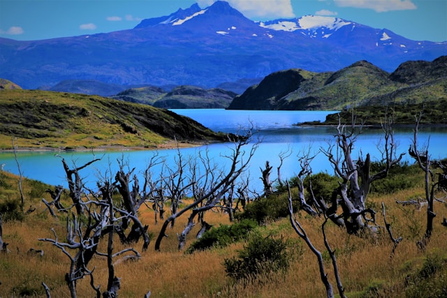 Estancia Peuma Hue