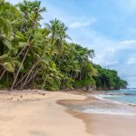 Canary Islands Beaches