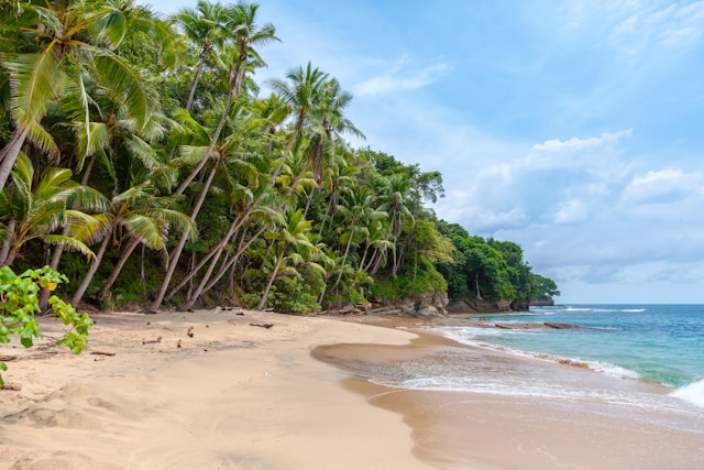Canary Islands Beaches