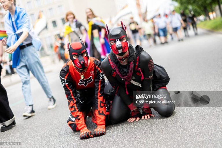 Pet Play Gear