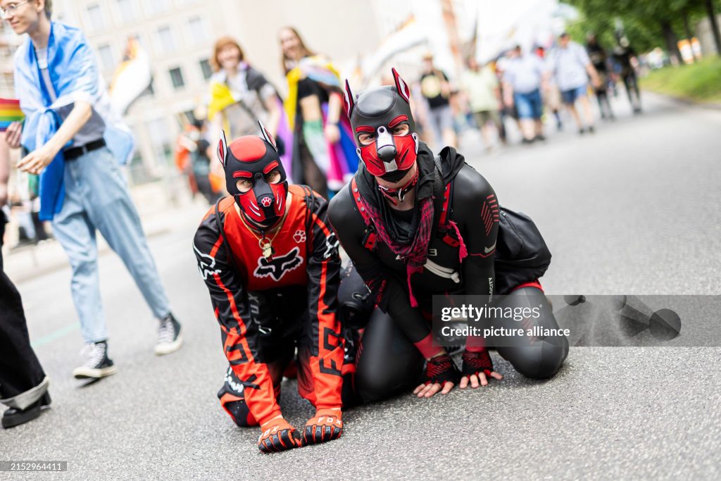 Pet Play Gear