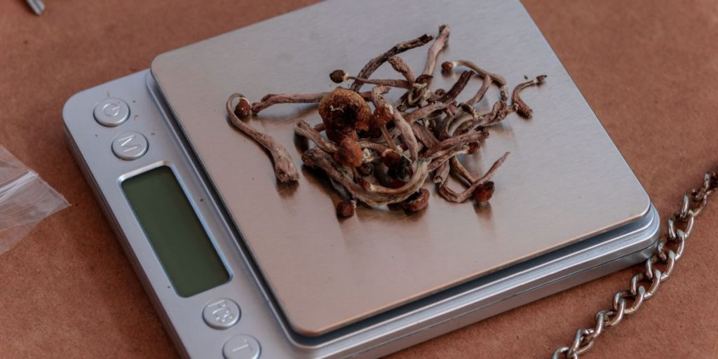 How Much Is a Gram of Shroom