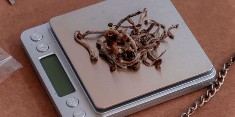 How Much Is a Gram of Shroom