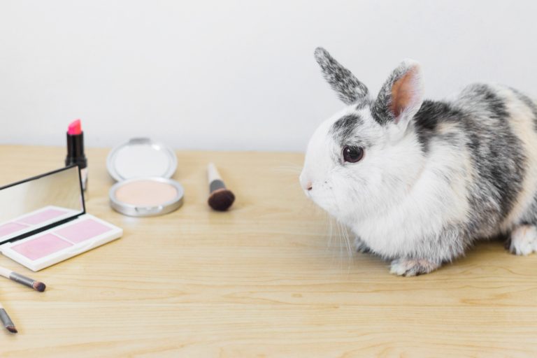 Rabbit Chat