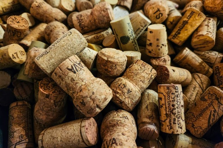 Champagne Cork
